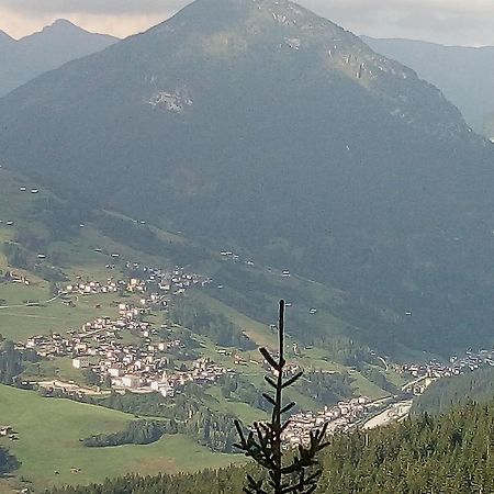 B&B Il Tulipano San Pietro di Cadore Exteriör bild