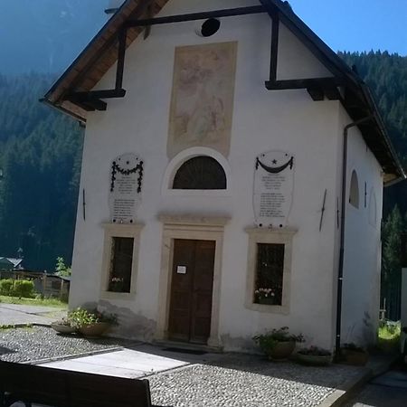 B&B Il Tulipano San Pietro di Cadore Exteriör bild