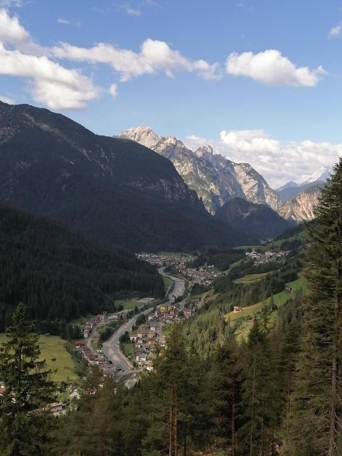 B&B Il Tulipano San Pietro di Cadore Exteriör bild