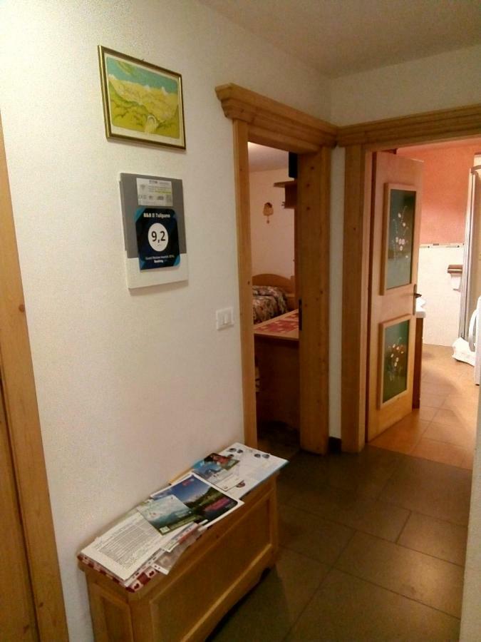 B&B Il Tulipano San Pietro di Cadore Exteriör bild