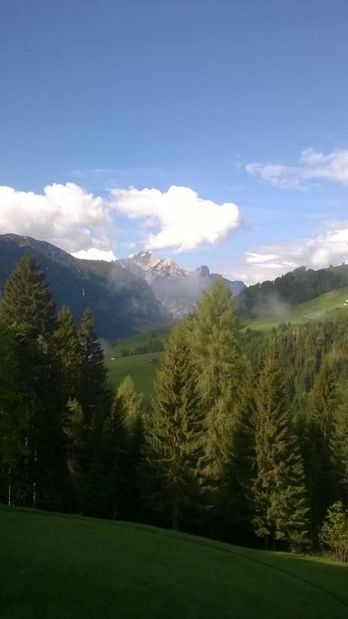 B&B Il Tulipano San Pietro di Cadore Exteriör bild