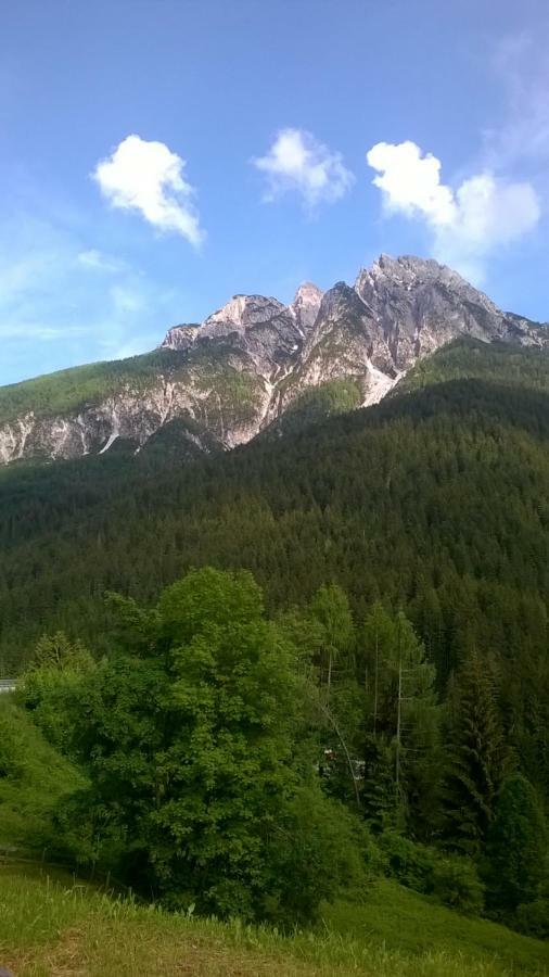 B&B Il Tulipano San Pietro di Cadore Exteriör bild