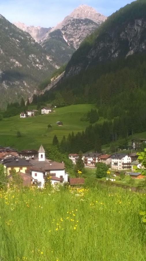 B&B Il Tulipano San Pietro di Cadore Exteriör bild